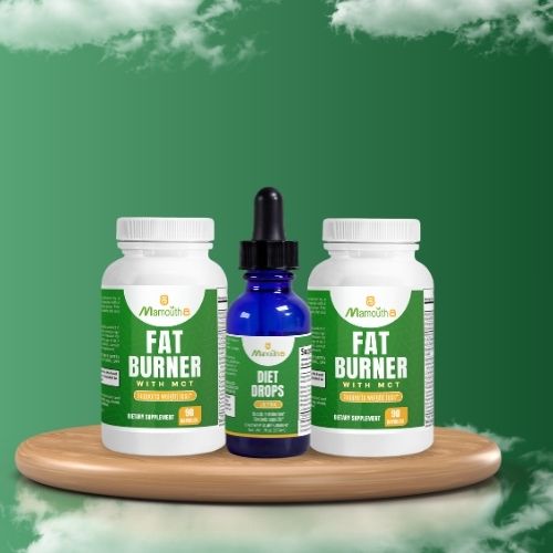 Full Transformation Bundle